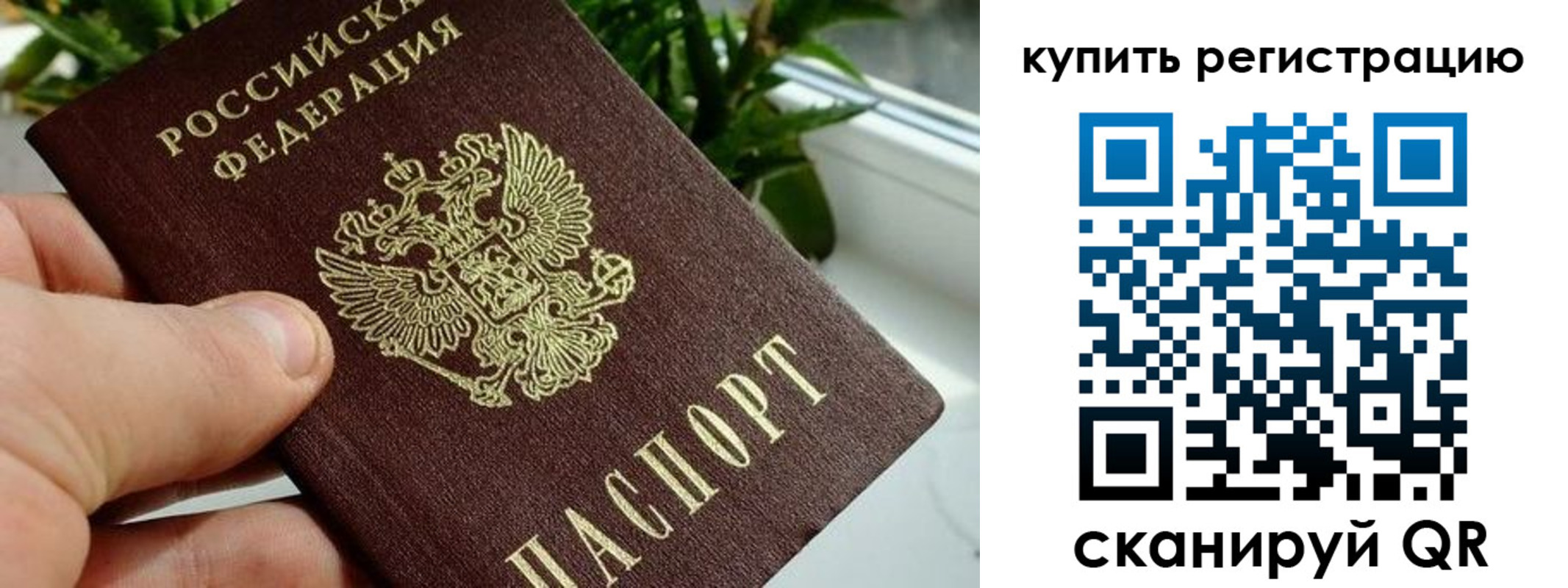прописка гарантия в Кукморе